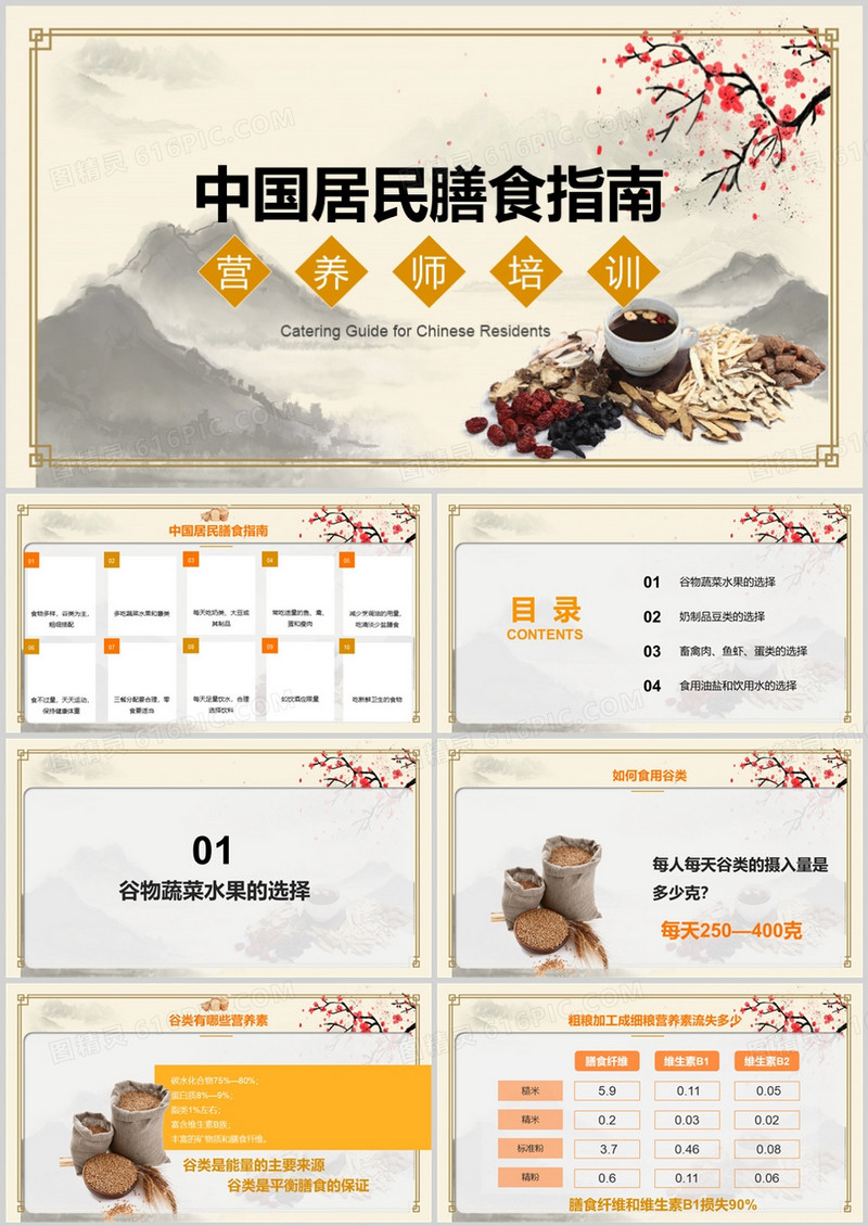 营养师培训中国居民膳食指南PPT模板