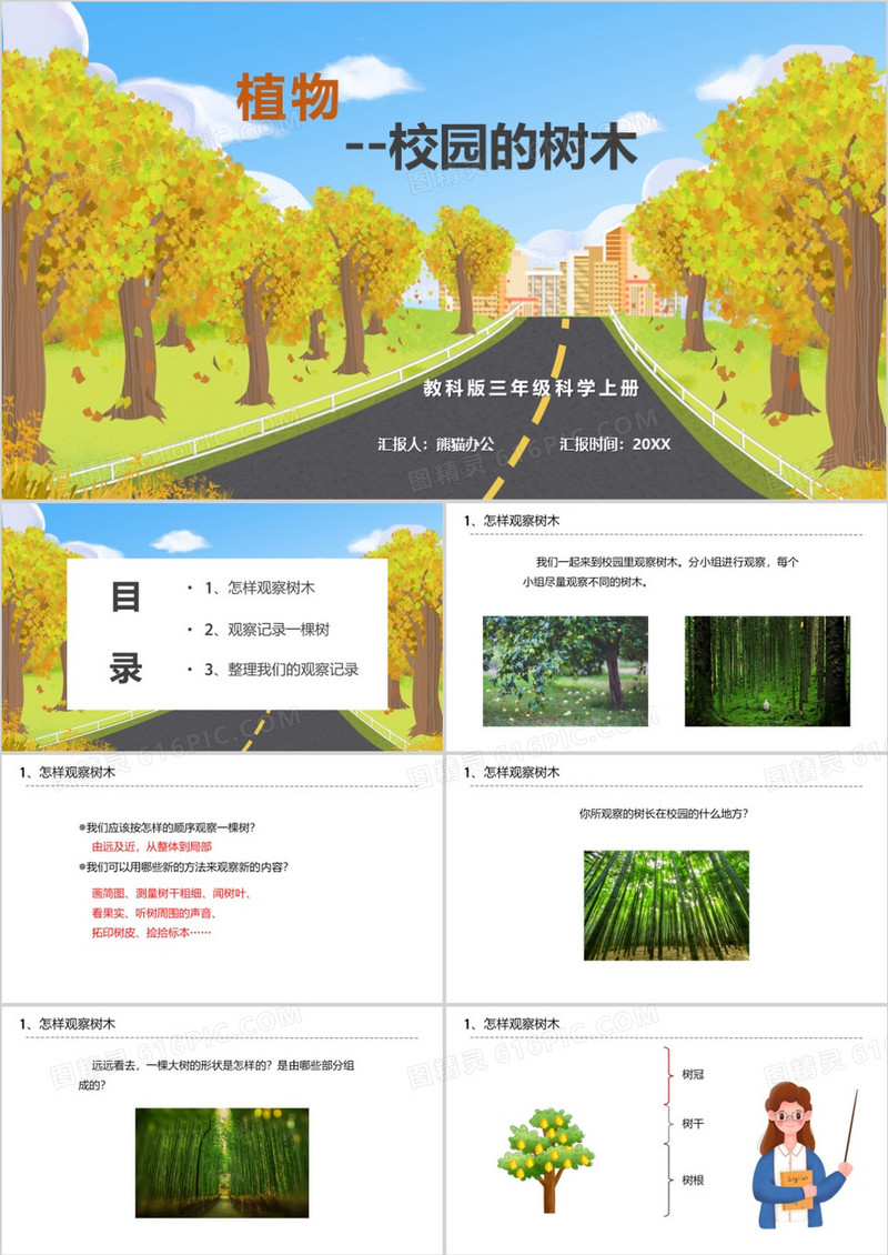 校园的树木植物说课PPT模板