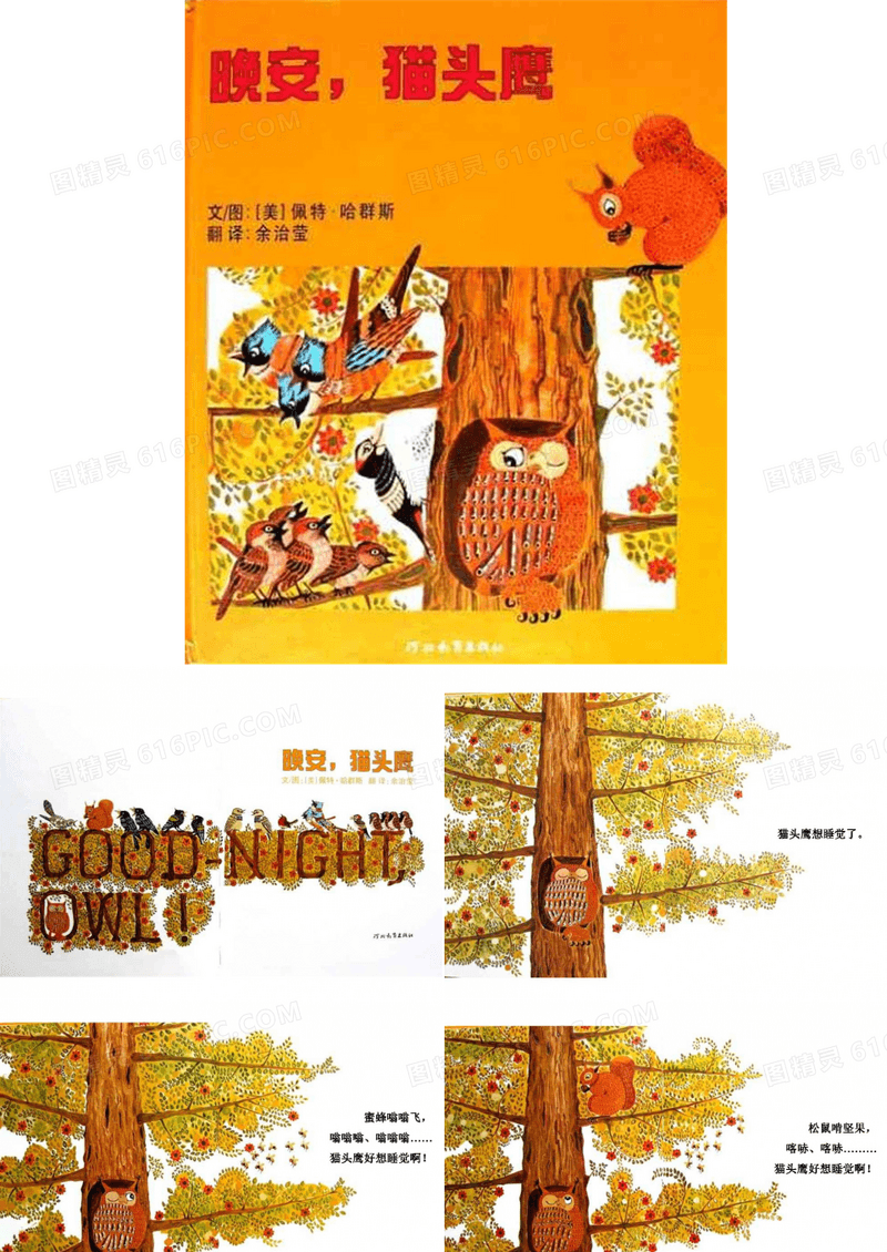 幼儿绘本故事《晚安,猫头鹰》课件