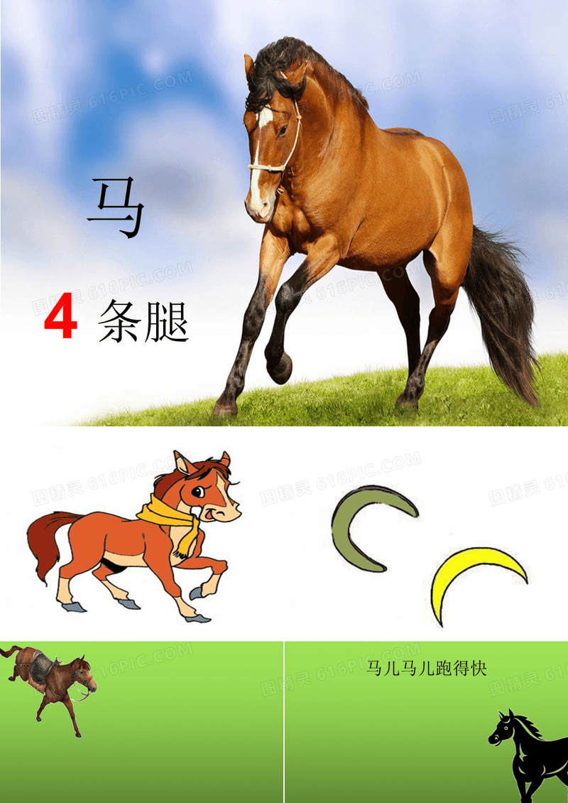 2017.3 课件  认识动物：马、牛、羊