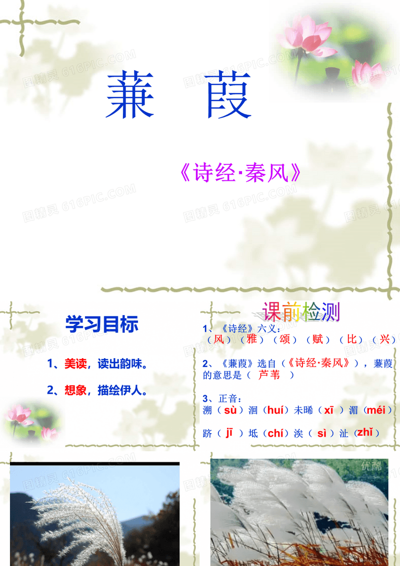 八年级语文下册《蒹葭》ppt课件