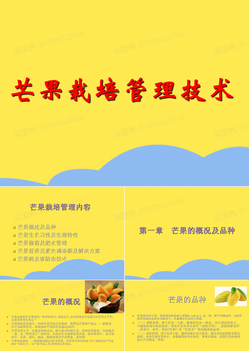 芒果种植管理技术(“芒果”相关文档)共63张
