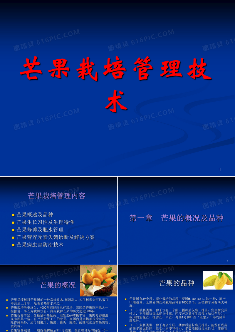 芒果种植管理技术ppt课件