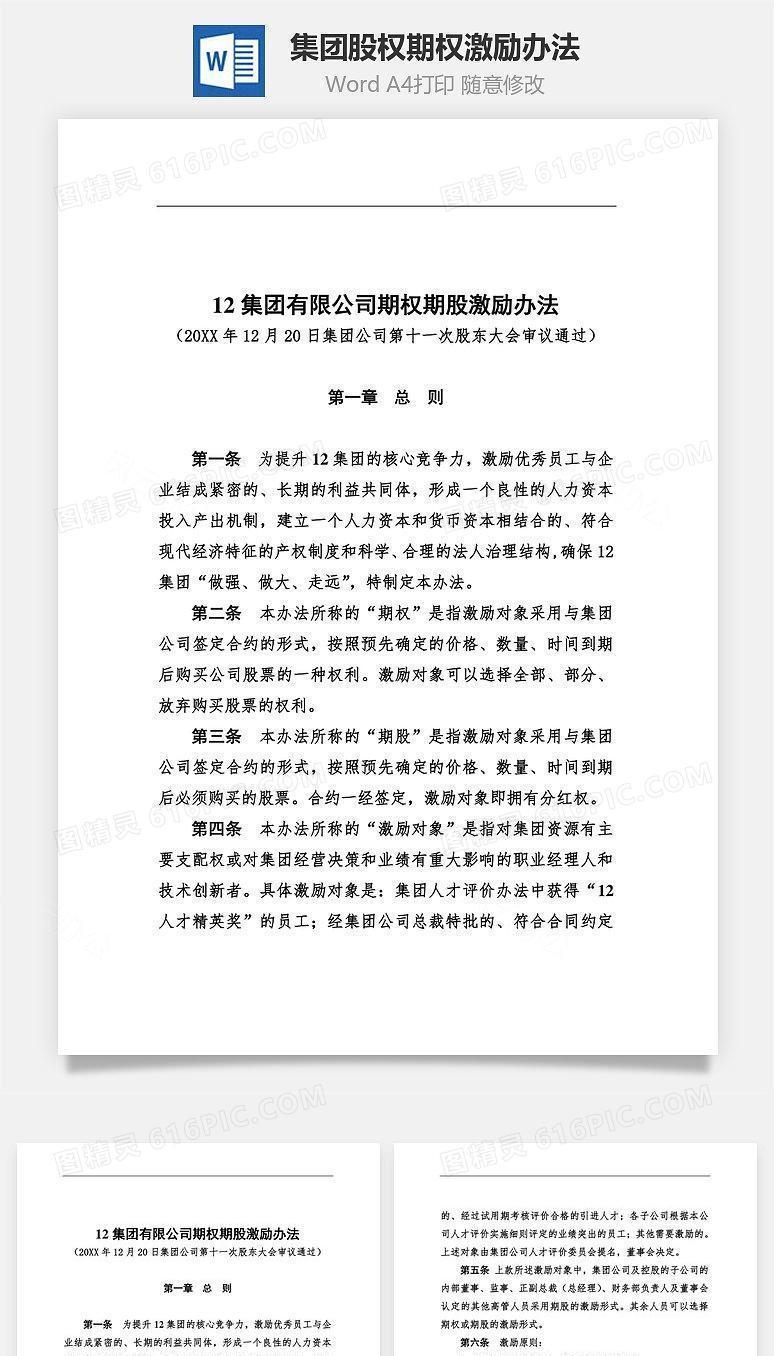 集团股权期权激励办法Word文档