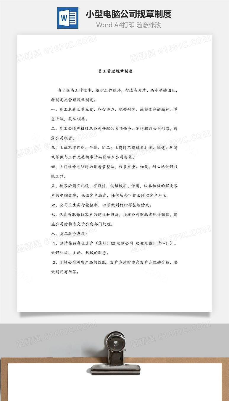 小型电脑公司规章制度Word文档