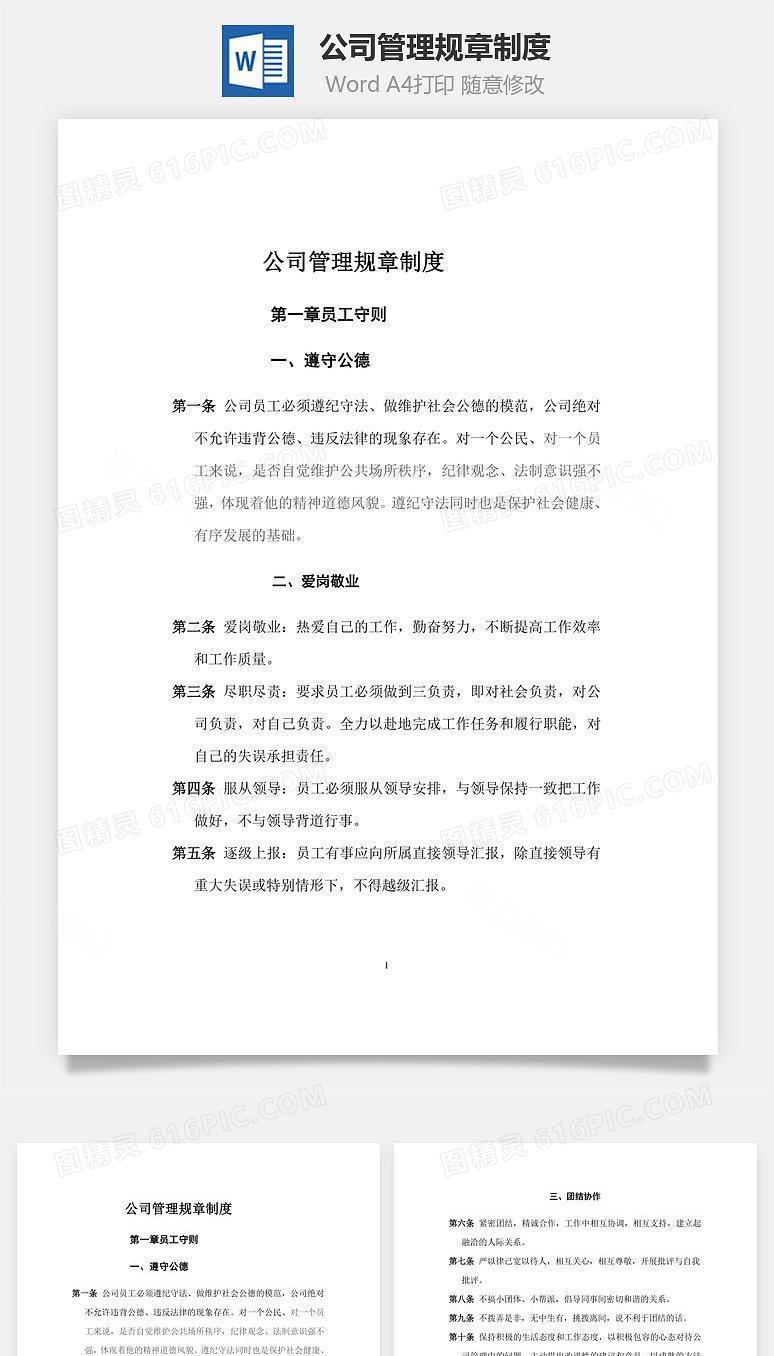 公司管理规章制度Word文档