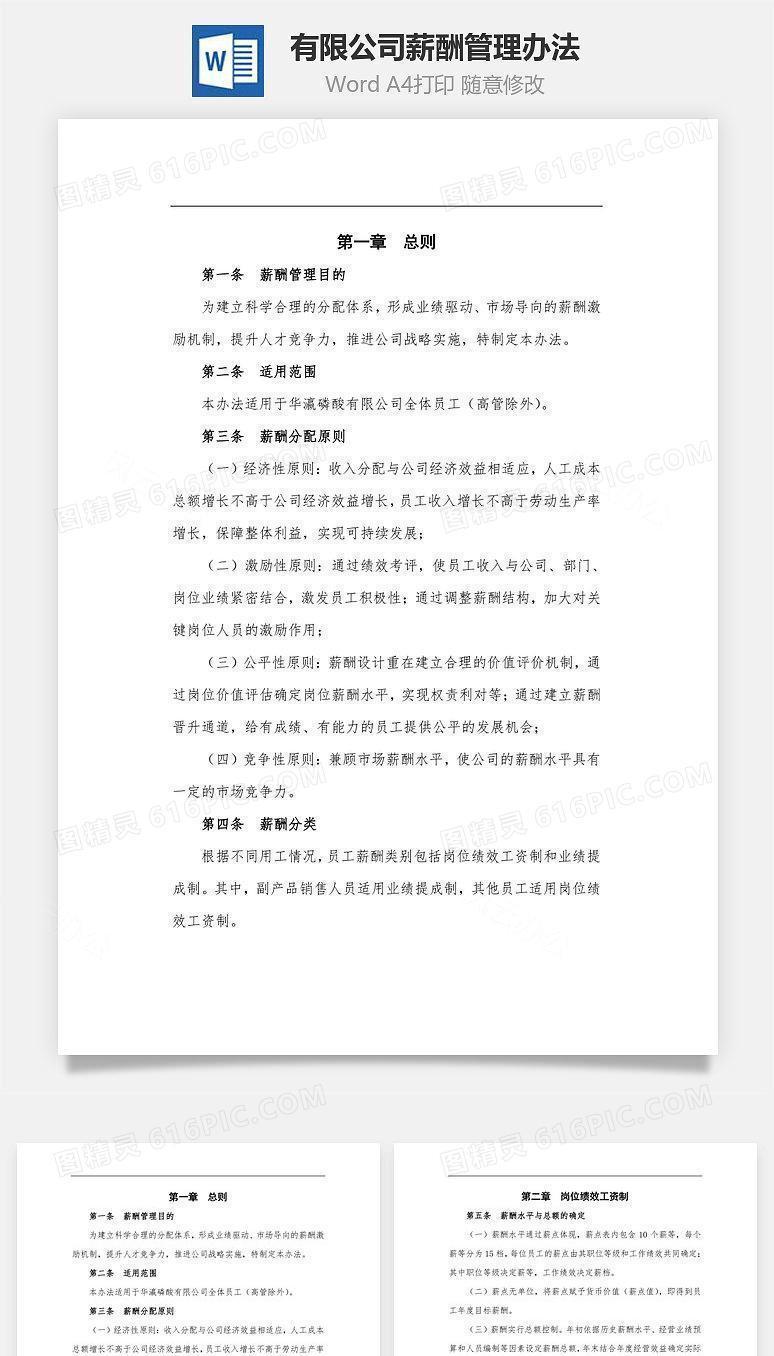 有限公司薪酬管理办法Word文档