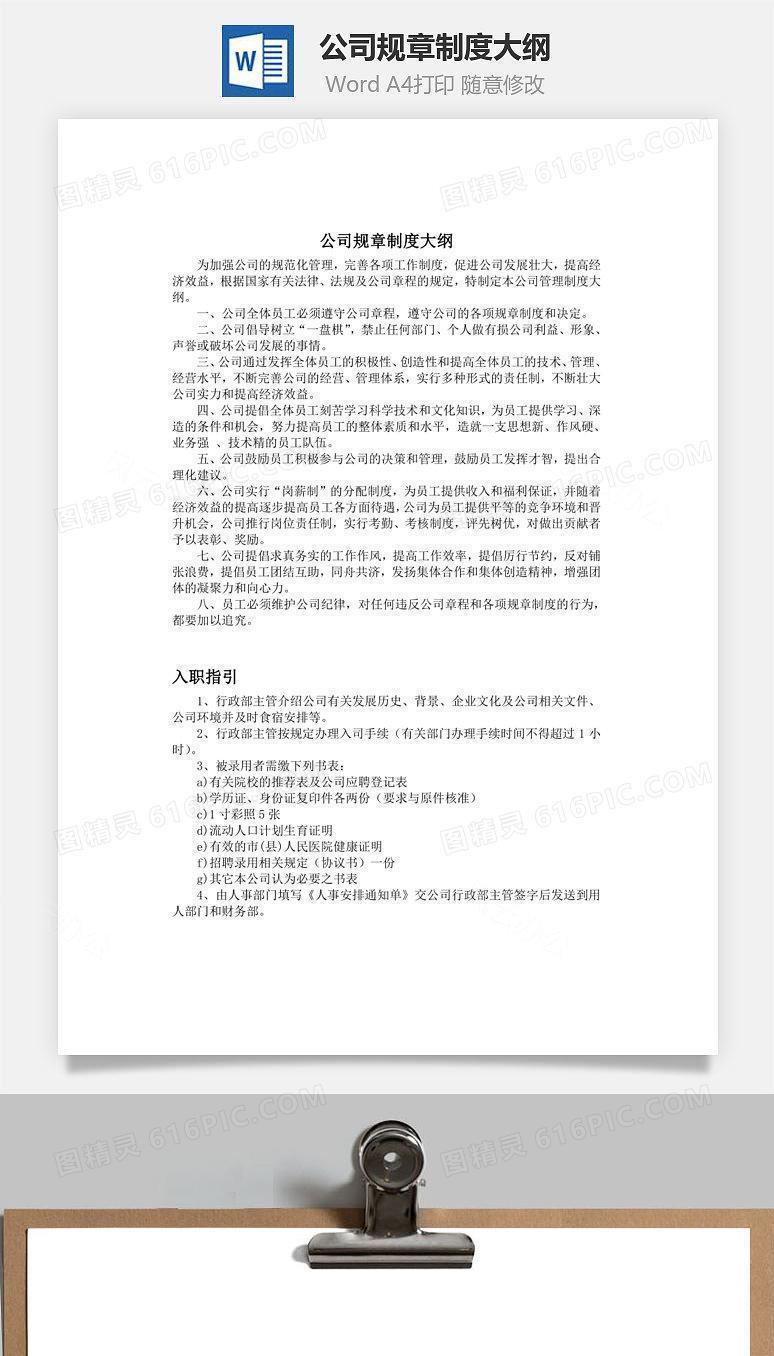 公司规章制度大纲Word文档