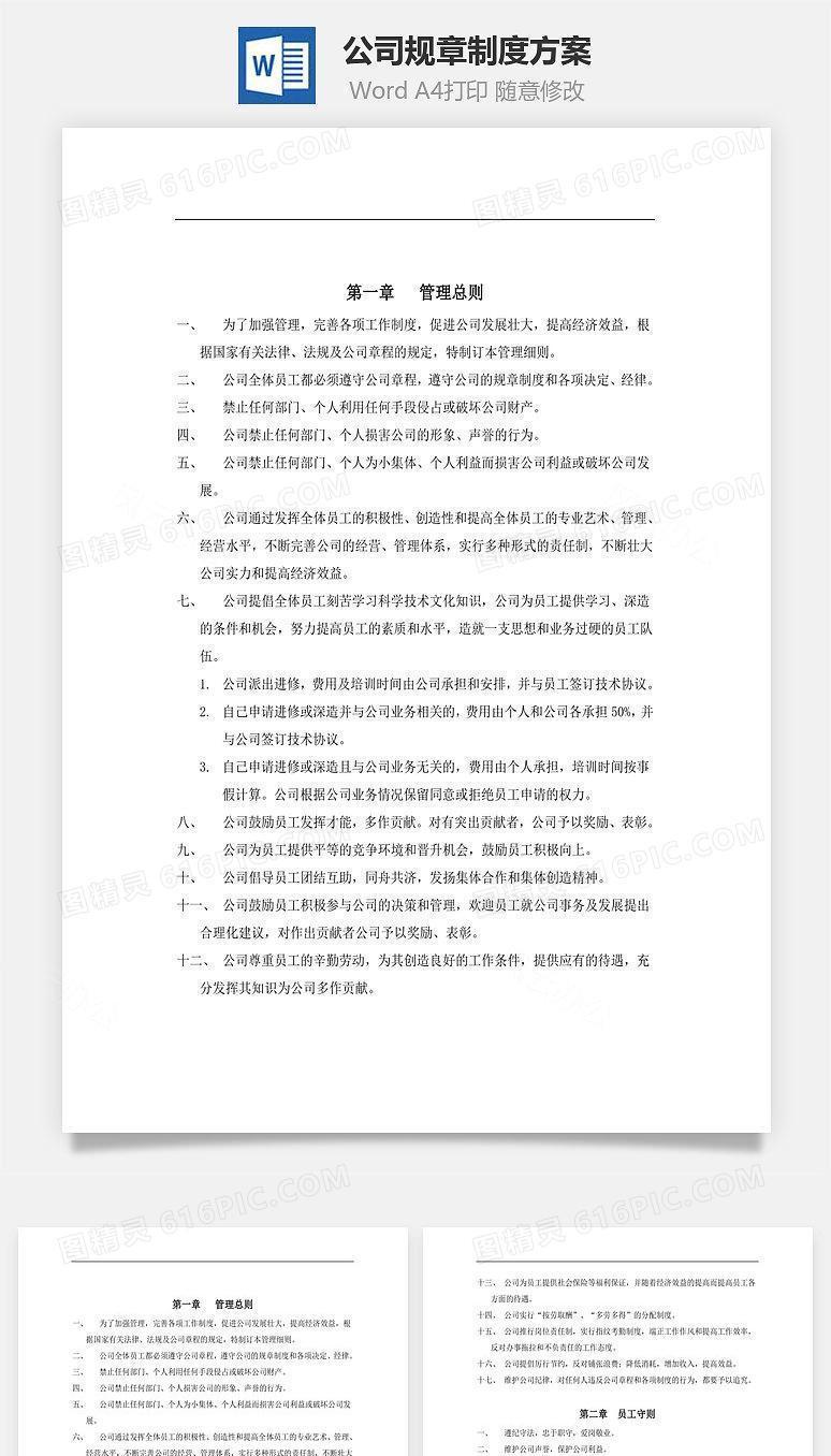公司规章制度方案Word文档