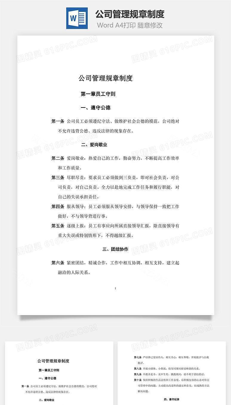 公司管理规章制度Word文档