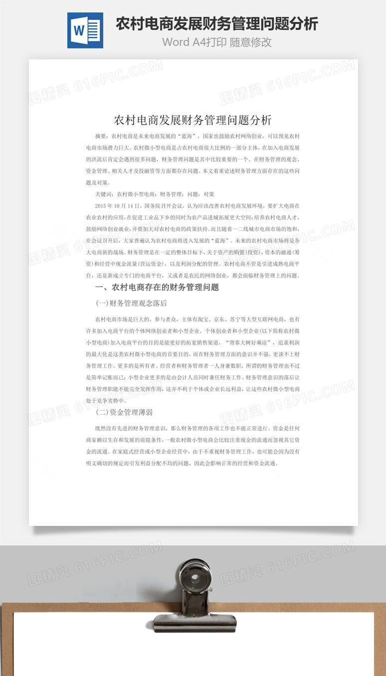 农村电商发展财务管理问题分析word文档