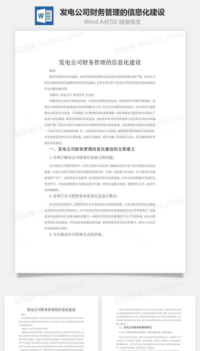 发电公司财务管理的信息化建设word文档