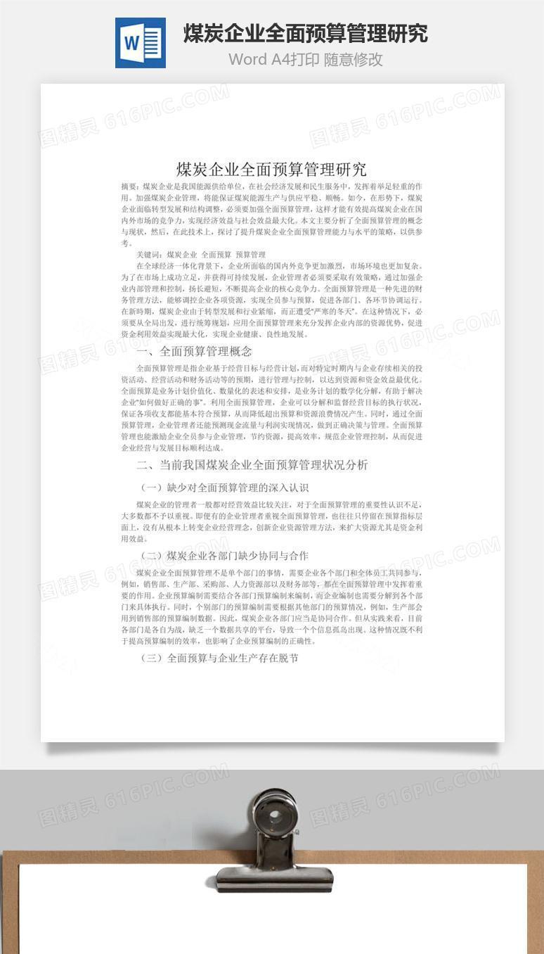 煤炭企业全面预算管理研究word文档