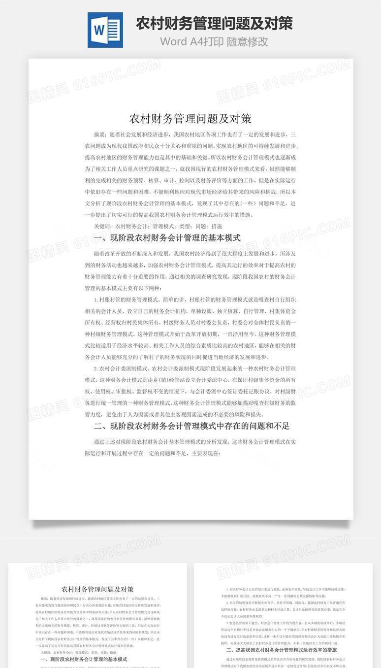 农村财务管理问题及对策word文档