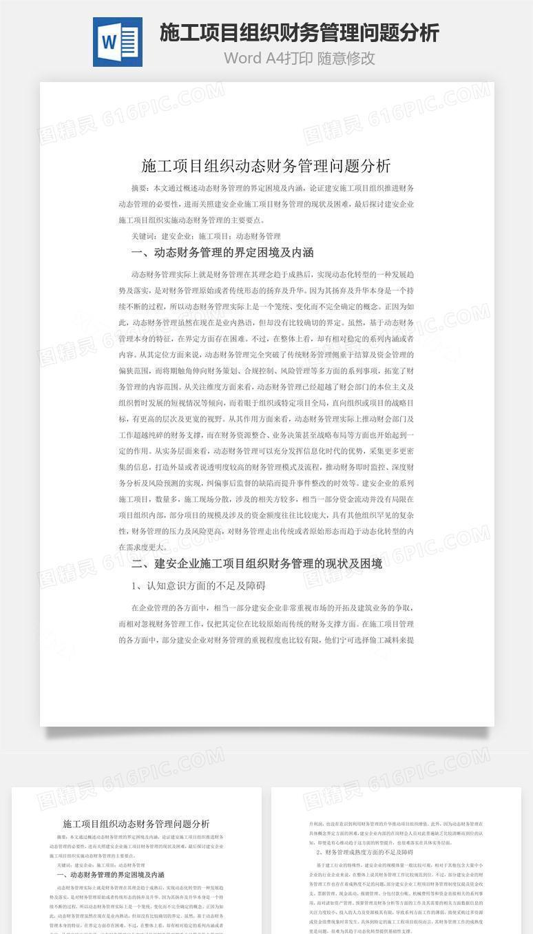 施工项目组织财务管理问题分析word文档