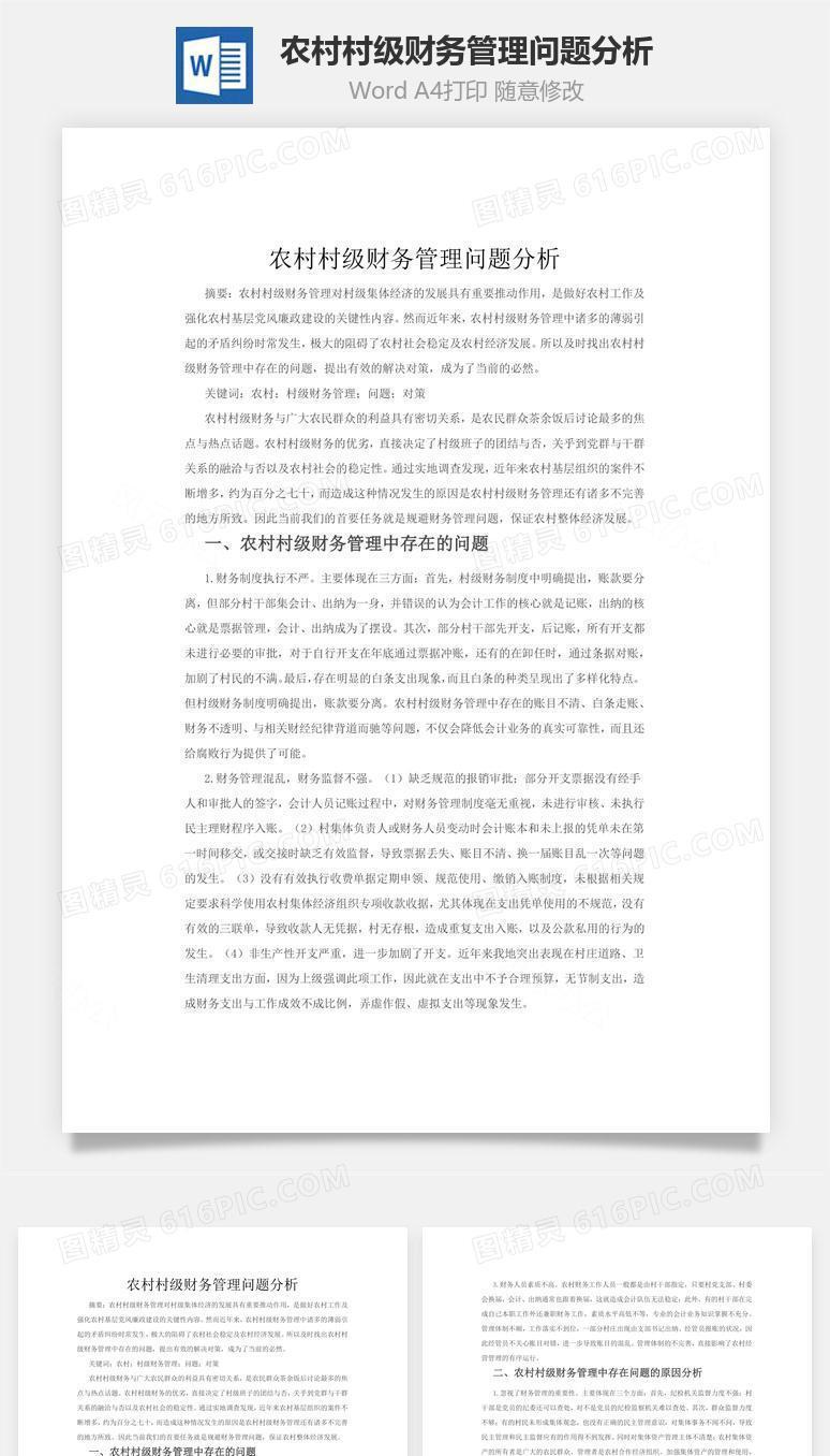 农村村级财务管理问题分析word文档