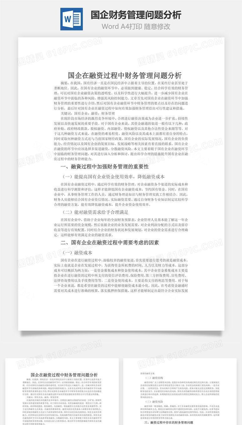 国企财务管理问题分析word文档