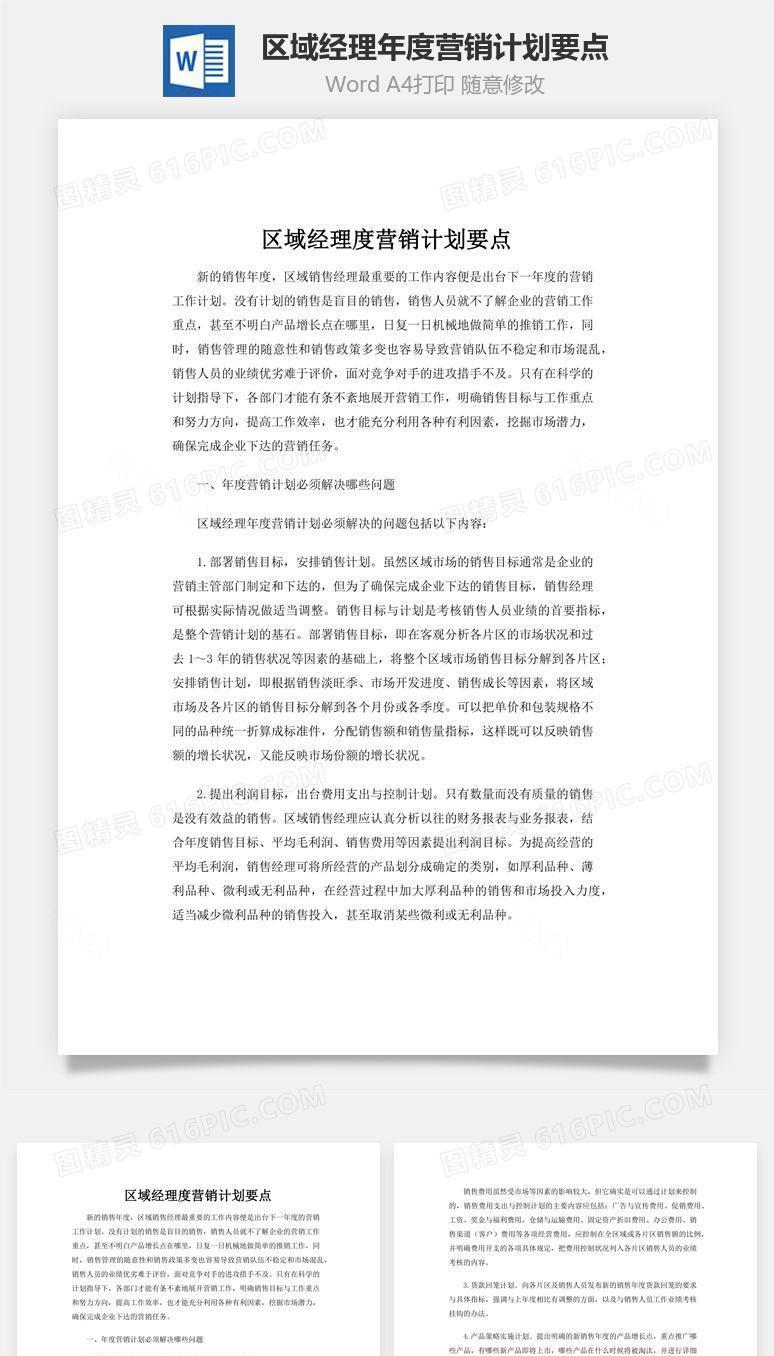 区域经理年度营销计划要点word文档