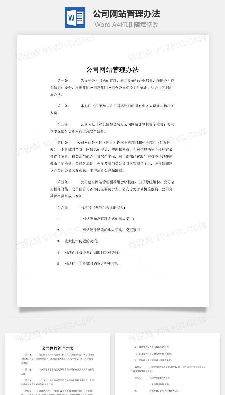 公司网站管理办法word文档