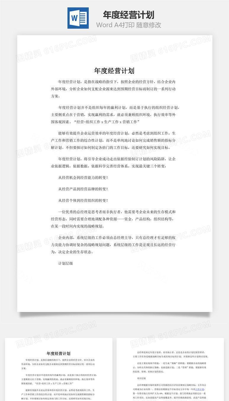 年度经营计划word文档