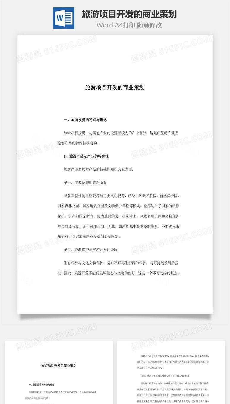 旅游项目开发的商业策划word文档