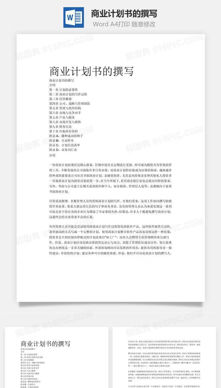 商业计划书的撰写word文档