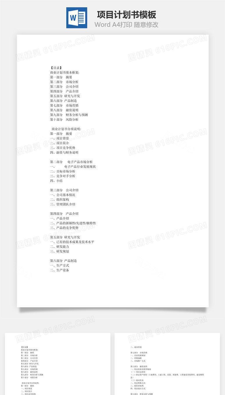 项目计划书Word文档