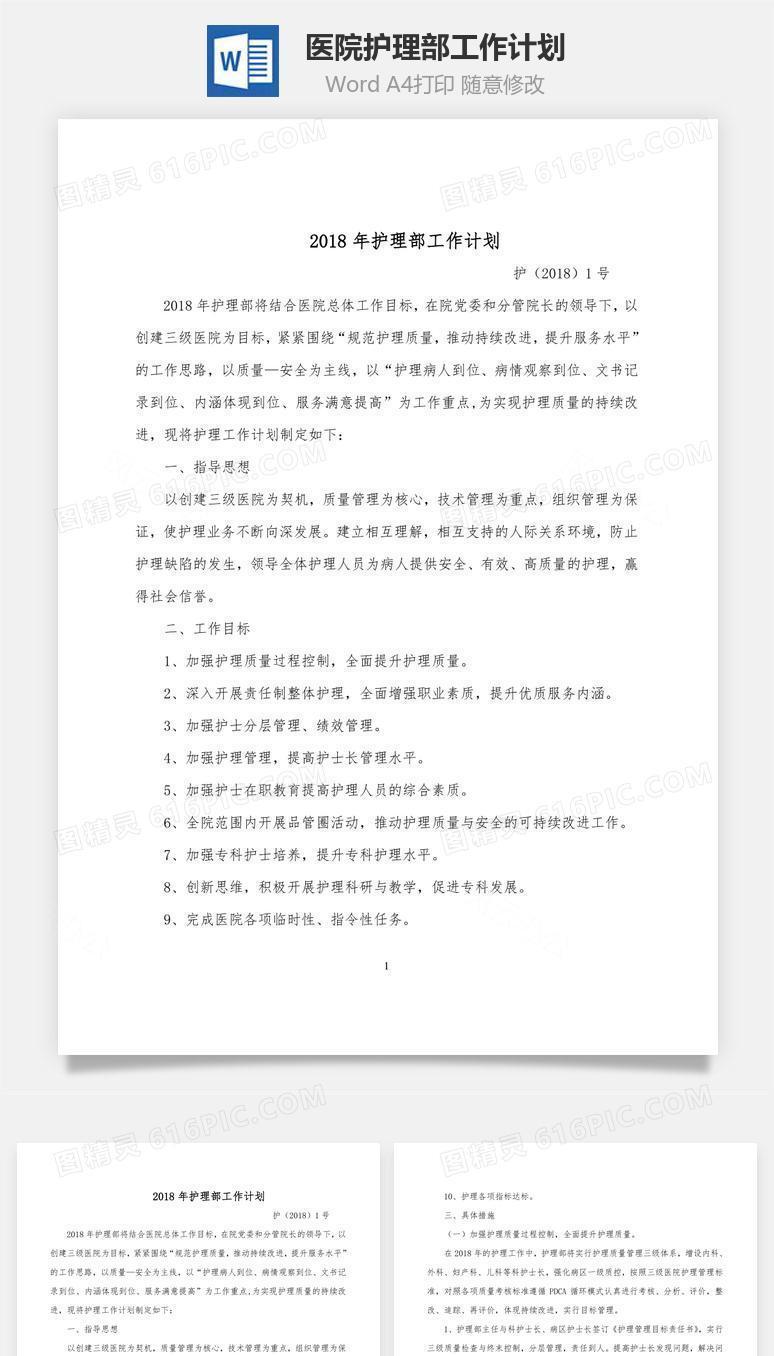 医院护理部工作计划word文档