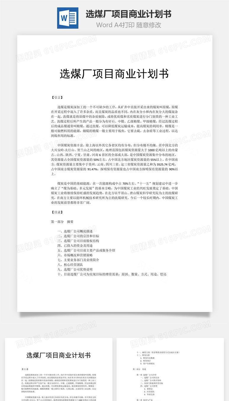 选煤厂项目商业计划书word文档