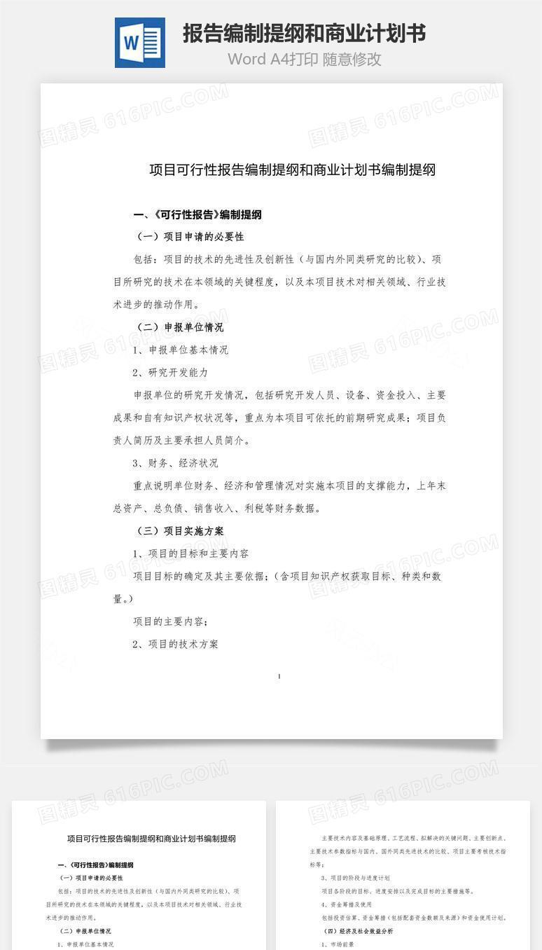 报告编制提纲和商业计划书word文档