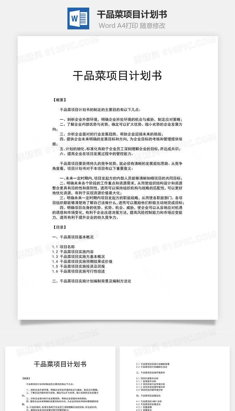 干品菜项目计划书word文档