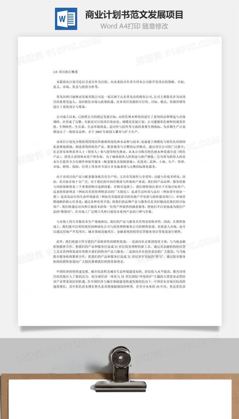 商业计划书范文发展项目word文档