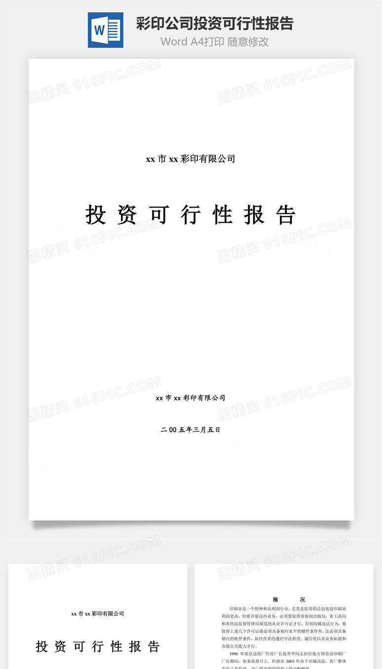 彩印公司投资可行性报告word文档