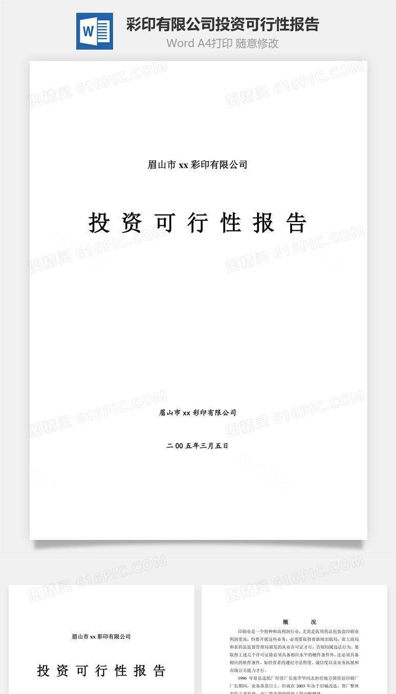 彩印有限公司投资可行性报告word文档