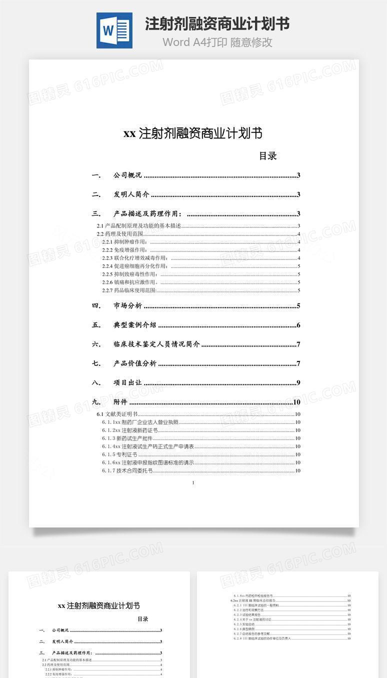 注射剂融资商业计划书word文档