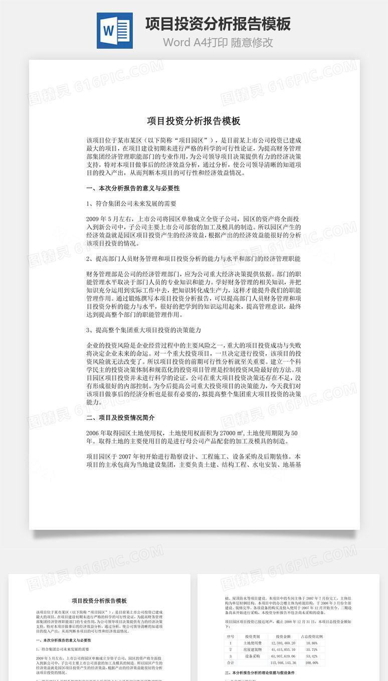 项目投资分析报告模板word文档