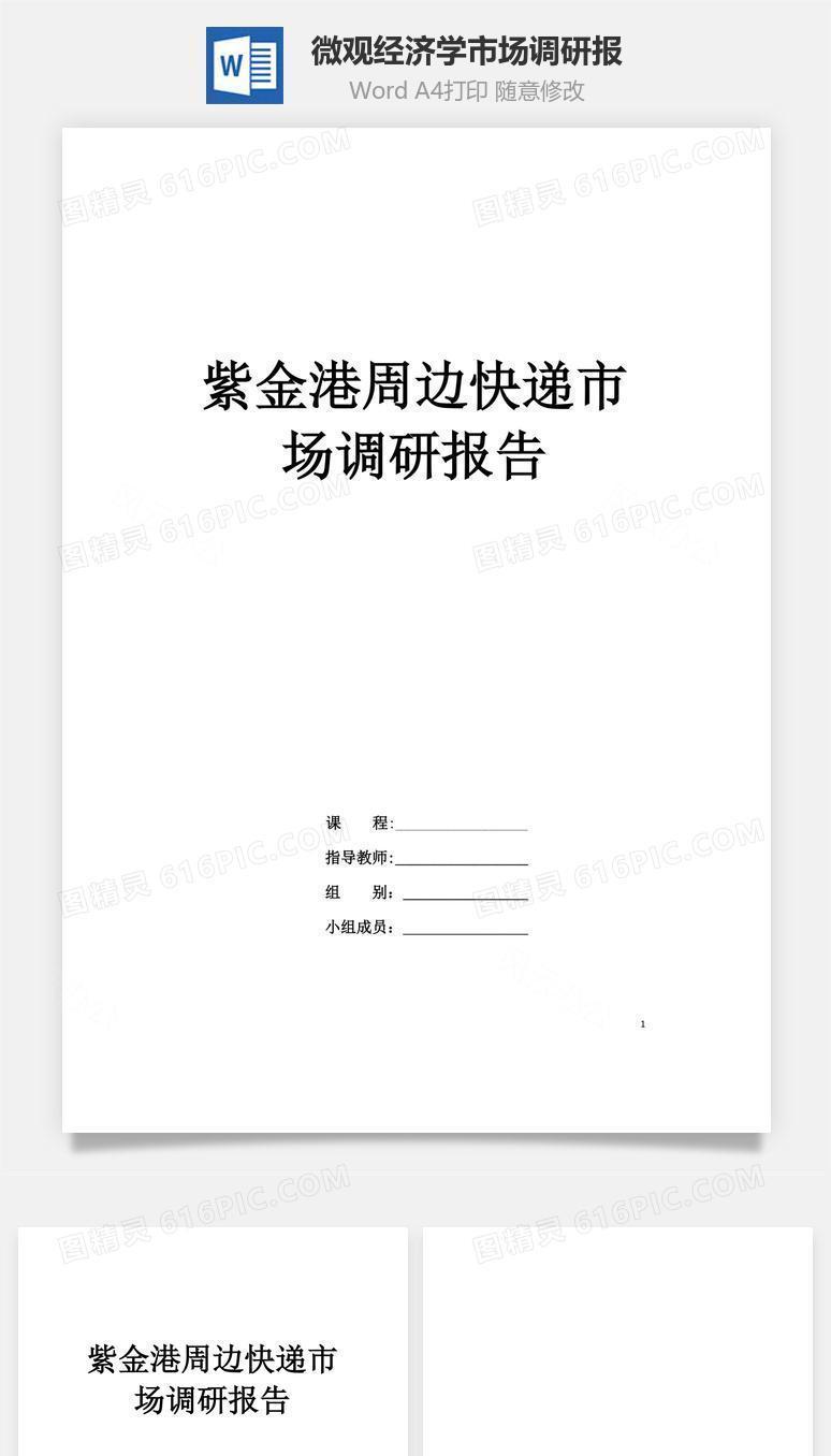 微观经济学市场调研报word文档