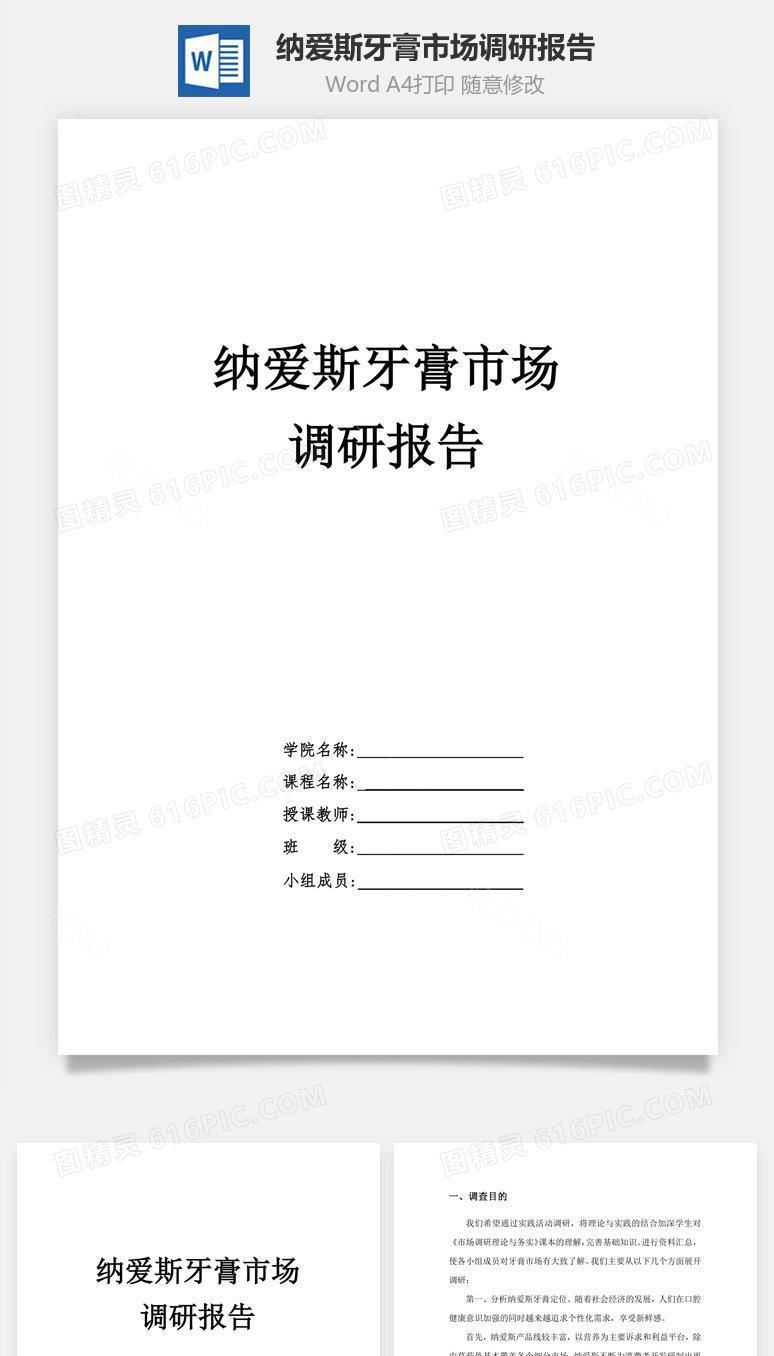 纳爱斯牙膏市场调研报告word文档