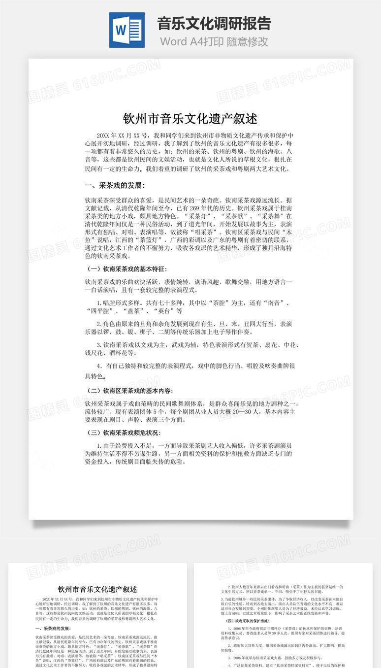 音乐文化调研报告word文档