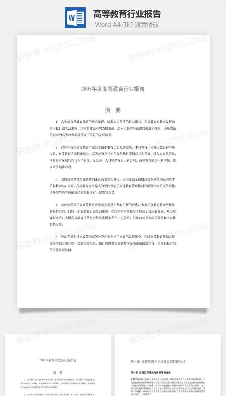 高等教育行业报告word文档