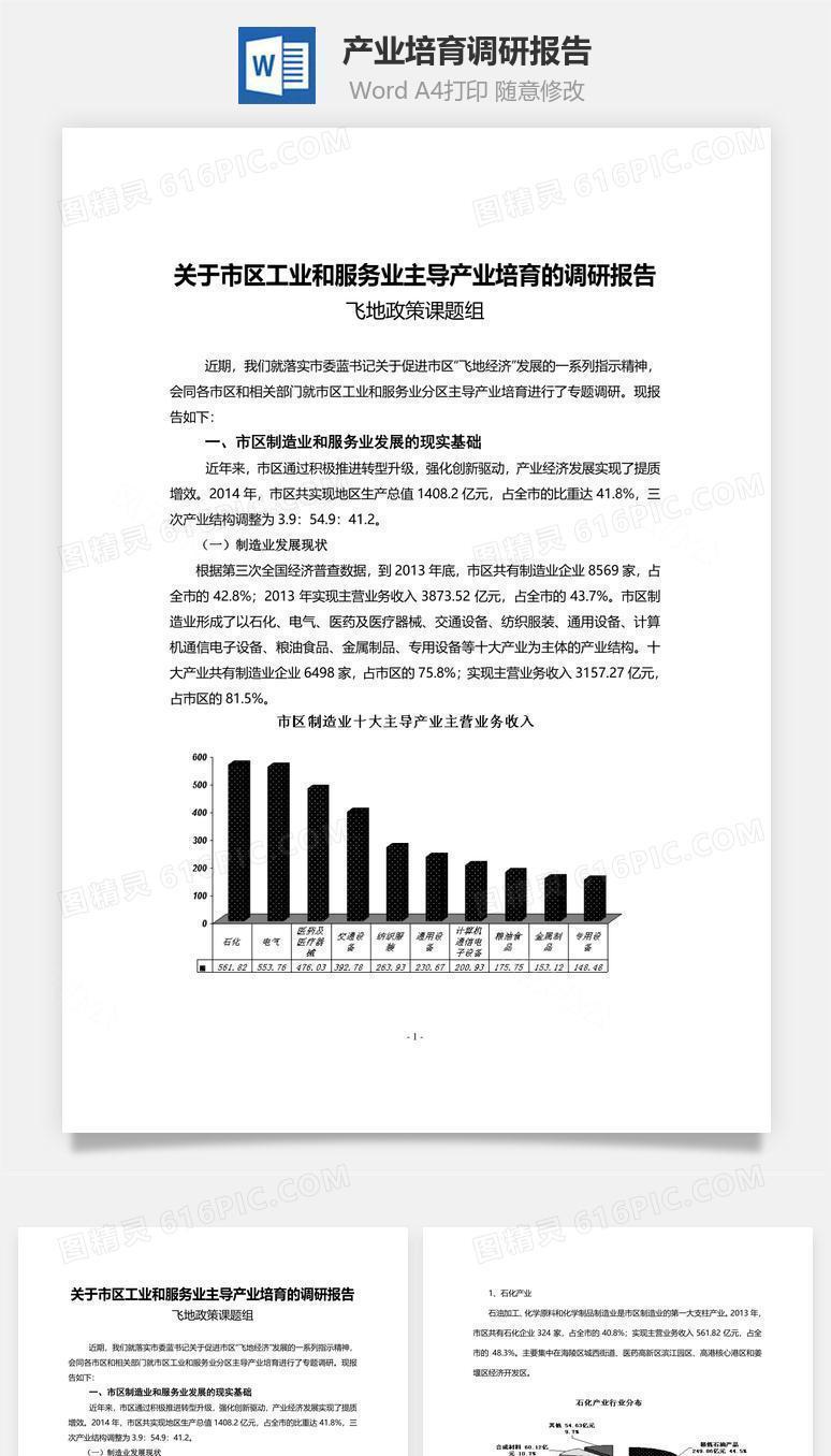 产业培育调研报告word文档