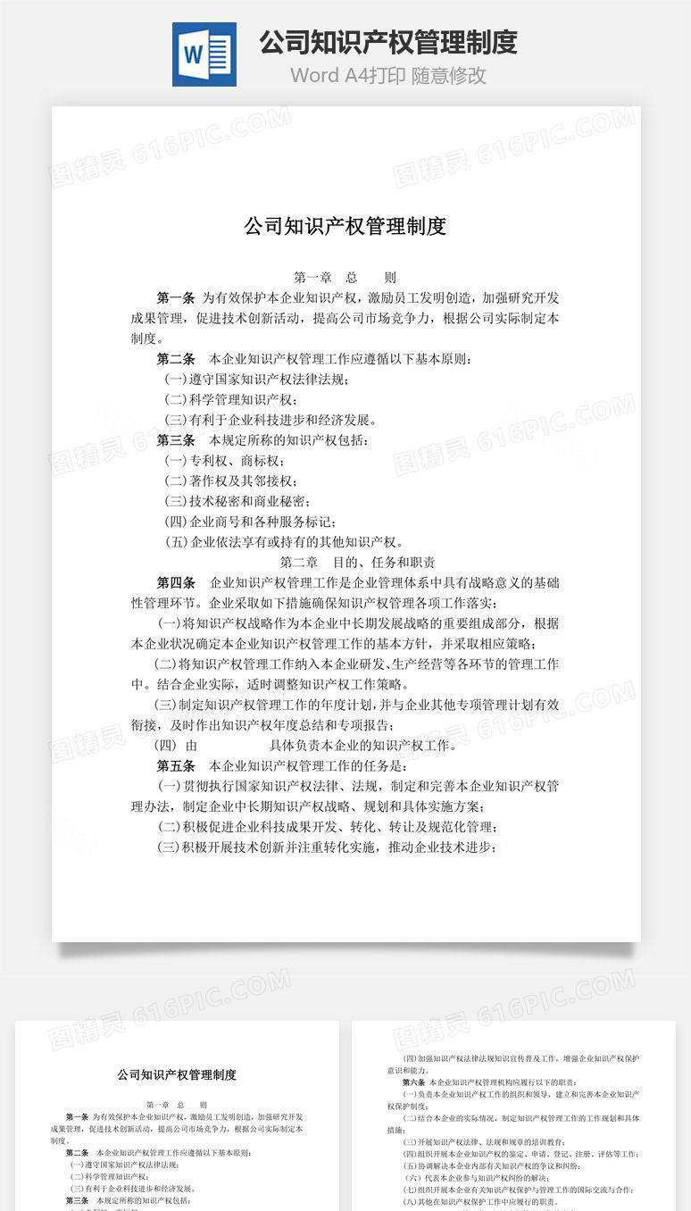 公司知识产权管理制度word文档