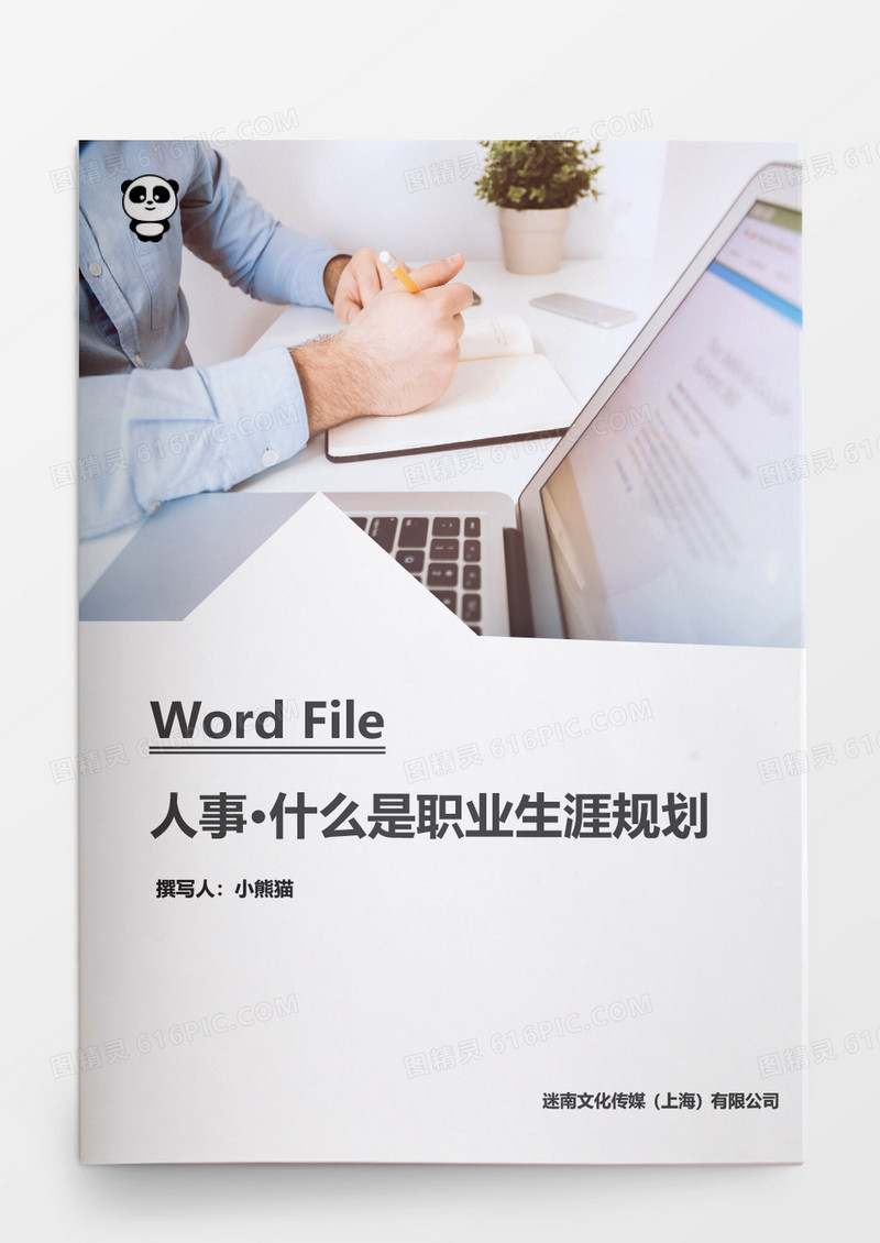 什么是职业生涯规划word文档