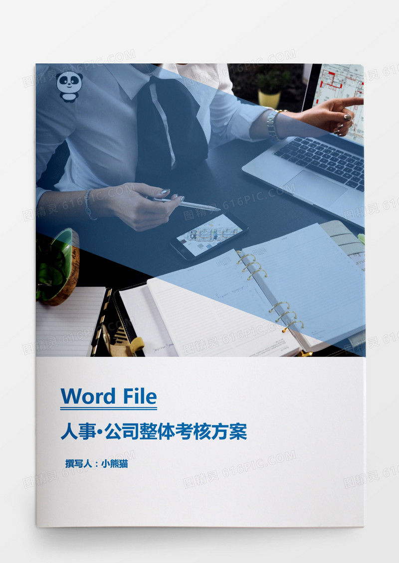 公司整体考核方案word文档