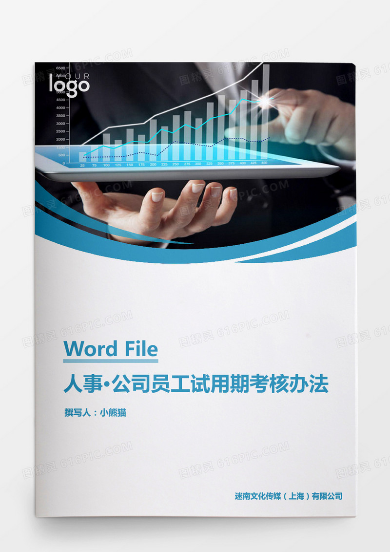 人事管理公司员工试用期考核办法word文档