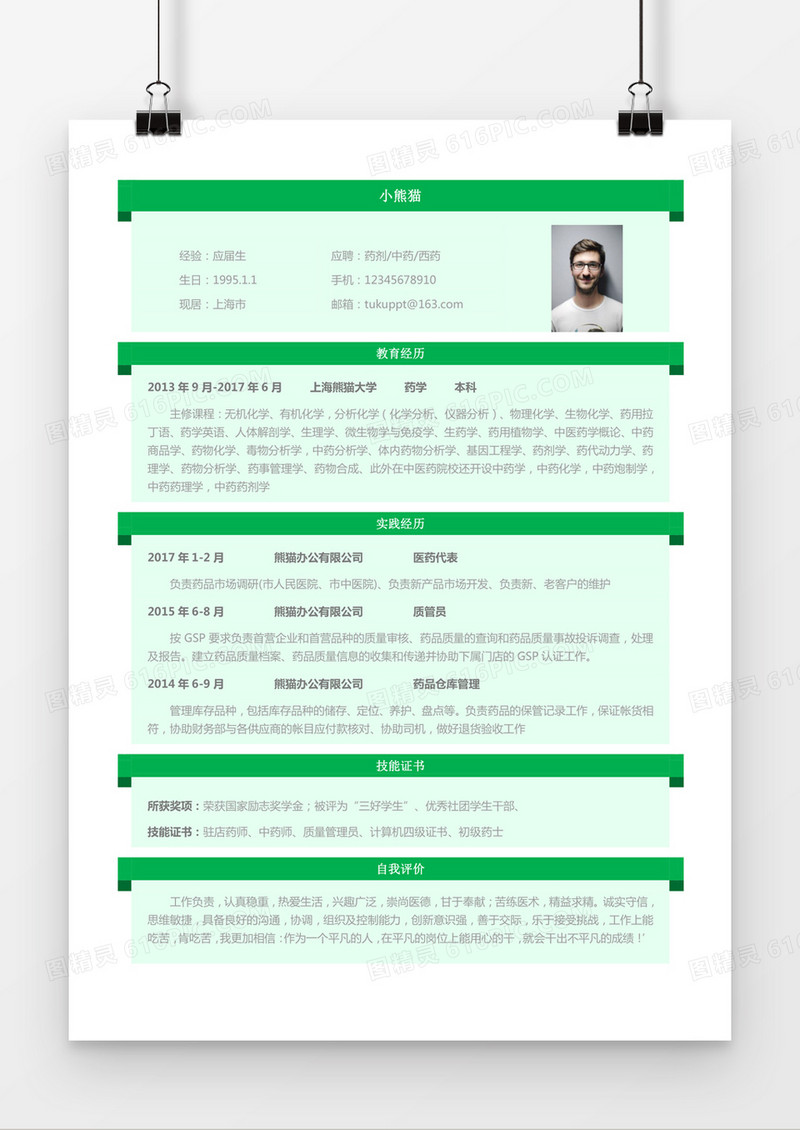 绿色商务药剂中药西药求职简历word简历