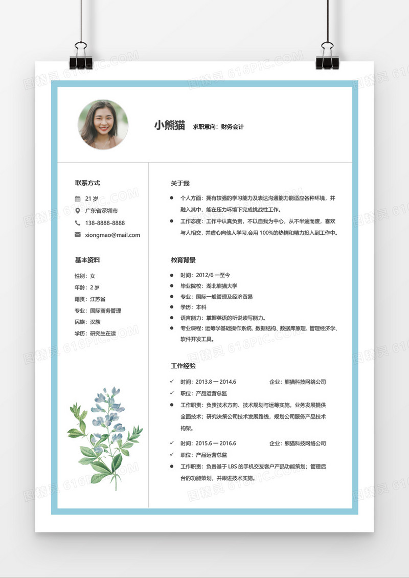 简约清新线框会计2年工作经验简历word模板
