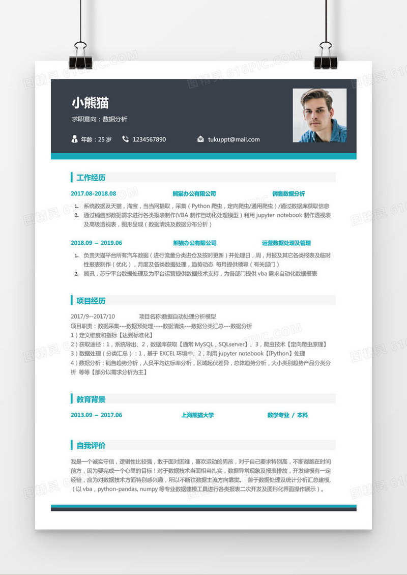 经典商务型数据分析师二年工作经验简历word模板