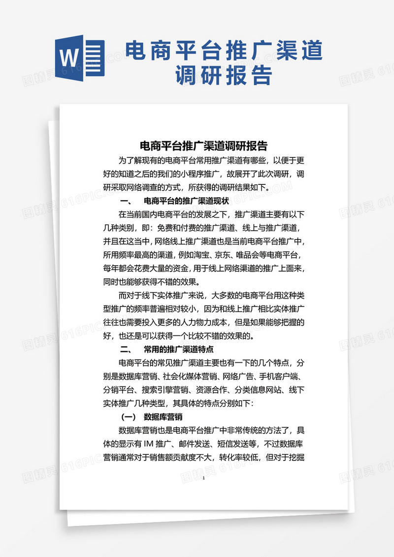 电商平台推广渠道调研报告word模板