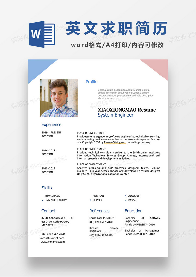 清新简约系统工程师英文求职简约简历word模板